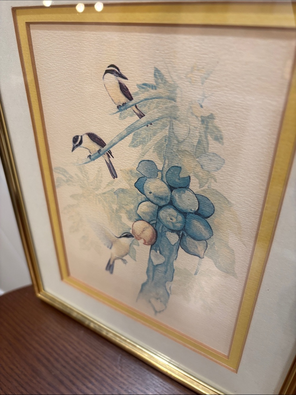 Gold Framed Artwork with 'Kiskadees & Papayas' Label